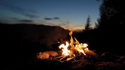 Beautiful campfire in the forest