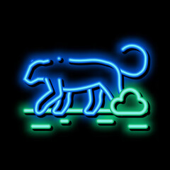 lion wild animal neon light sign vector. Glowing bright icon lion wild animal sign. transparent symbol illustration