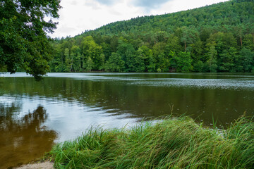 Seehof weiher , romantischer Erlenbach See  in der Pfalz