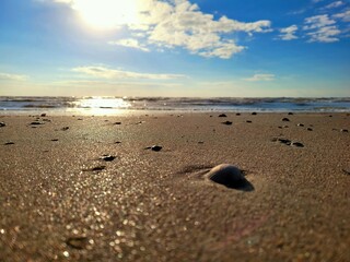 footprints on the beach
