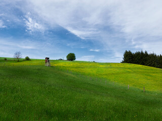 raised blind in the field