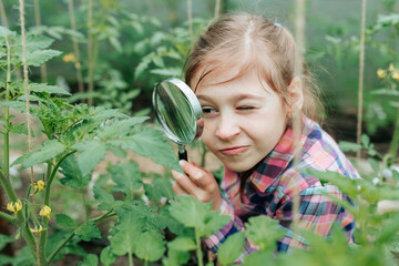 Handsome kid girl Naturalist Scientist Explores Plant Life and Insect Life with Magnifying Glass....