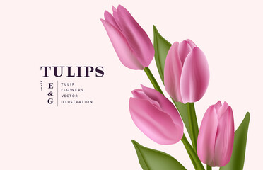 Floral realistic bunch of Tulip flowers background. Contemporary layout vector illustration.