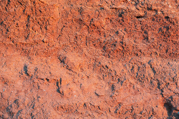 A cut of clay rock in a quarry.
