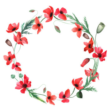 pattern wreath red poppies on a white background painted with watercolor