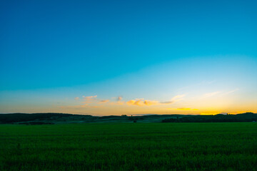 Sunset, forest and glade like in zanzibar.