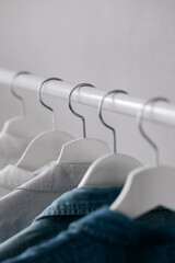 Fototapeta premium Closet, clothes hanging on hangers, stylish closet selection on a rail in the living room, light shirts on hangers, clothes storage closet, green plant, stylist picks closet, conceptual clothing store