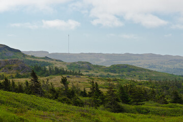 Newfoundland landscape in back country, Newfoundland, Canada