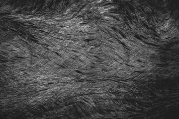 Texture of wood plank closeup for background. Black and white.