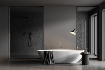 Fototapeta na wymiar Gray bathroom interior with tub and shower stall