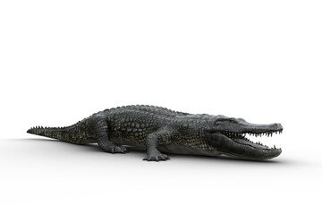 3D illustration of an Alligator standing on land with jaws open isolated on white.