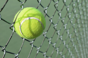 Tennis Ball in Fence