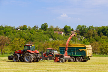 A tractor with forage harvesters removes the cut grass from the field for silage filling the tractor trailer.