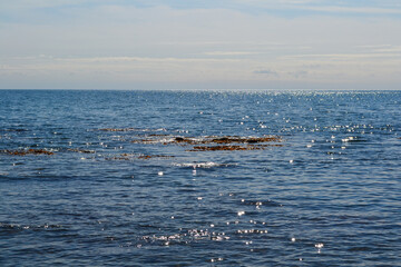 Landscape view of the Japanese sea. Russia, Primorsky Krai