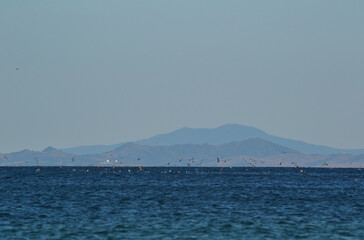 Landscape view of the Japanese sea. Russia, Primorsky Krai