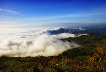 Natrual background, beautiful sea of fog of mist in valley, Mist over phu tub berk view point
