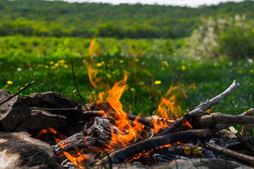 Campfire picnic