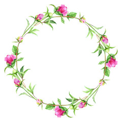 Fototapeta na wymiar Watercolor round frame from pink peonies, leaves, buds and twigs. Wreath of bright summer flowers for invitation, menu, greeting cards