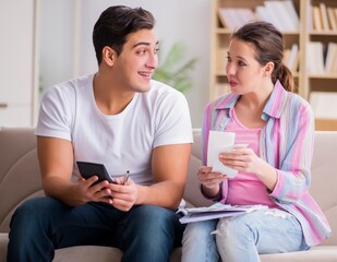 Young family discussing family finances