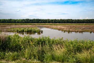 An interconnecting network of fresh water rivers and streams criss-cross along the flat marsh...