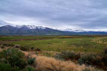 Scenic View of Colorado Prairie landscape with Snowcapped Mountain and White Clouds