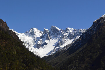 Fototapeta na wymiar yumthang valley of sikkim ,India