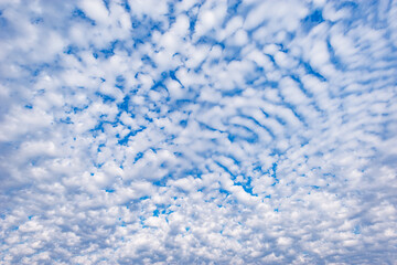 Clouds on the blue sky.