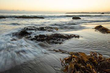 Obraz premium sunset on the beach, long exposure over beach in Cambria, California