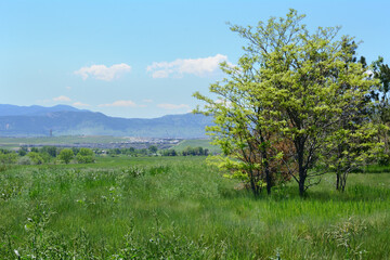 Fototapeta na wymiar Springtime Colorado landscape from Standley Lake Regional Park in Westminster looking towards the west to the Rocky Mountains