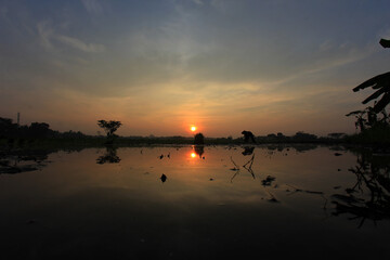 Fototapeta na wymiar Silhouette of farmer planting rice in the morning at sunrise.