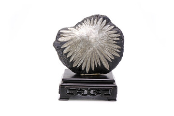 The Chrysanthemum flower-liked stone from Hunan province, China. Isolated on white background