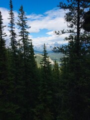 Stunning views of Banff National Park from Sulfur mountain ridge