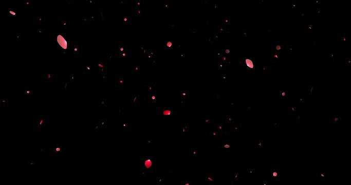 舞い散る赤いバラの花びら 背景透過