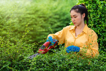 woman using  cordless electric hedge cutting and trimming plant in garden at home