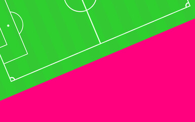 Soccer. Playing field of football. Digital drawing relating to the game, betting and competition. White lines that delimit the areas and regulations of this sport. Cut grass effect.