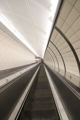 Obraz premium Which Way is Up?