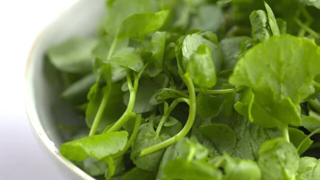 Watercress Rotating In Bowl. Macro 4k Shot Of Organic Plant Based Raw Vegan Salad Food. Green Fresh Recipes. Spinning Watercress On Plate. Healthy Vegetarian Vegetarian Recipes.