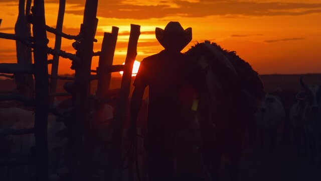 A Brazilian cowboy in the Pantanal walks his horse in from a hard day of work - silhouette with a brilliant sunset