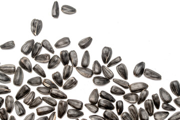 Black sunflower seeds on a white background.