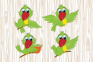 cute parrot animal cartoon