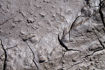 Cracks in the ground after rain. Dried earth with cracks