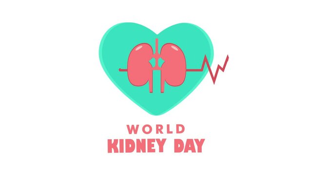Human kidney on heart symbol