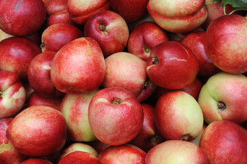 Fototapeta na wymiar close up on fresh peach as food background
