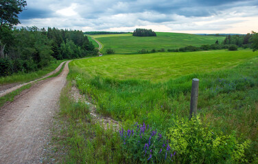 Fototapeta na wymiar Dirt path winds through a green field