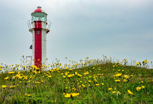 Brigus Lighthouse