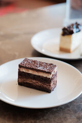 A slice of delicious chocolate cake. Piece of Cake on a Plate. Sweet food. Sweet dessert. Close up.