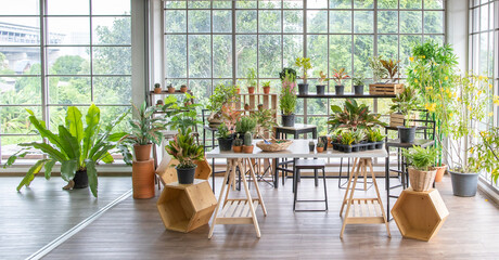 Tree and planting corner in home for doing hobby and relaxing activity. .