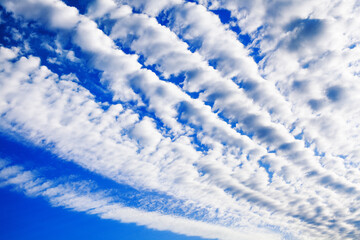 White cirrocumulus clouds blue sky background, fluffy stratocumulus cloud texture, altocumulus cloudy skies, beautiful high cirrus cloudscape view, sunny heaven landscape, cloudiness weather backdrop - obrazy, fototapety, plakaty