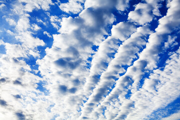 White cirrocumulus clouds blue sky background, fluffy stratocumulus cloud texture, altocumulus cloudy skies, beautiful high cirrus cloudscape view, sunny heaven landscape, cloudiness weather backdrop - obrazy, fototapety, plakaty