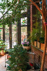 Fototapeta na wymiar Interior of winter garden with various home plants, glass door and windows.